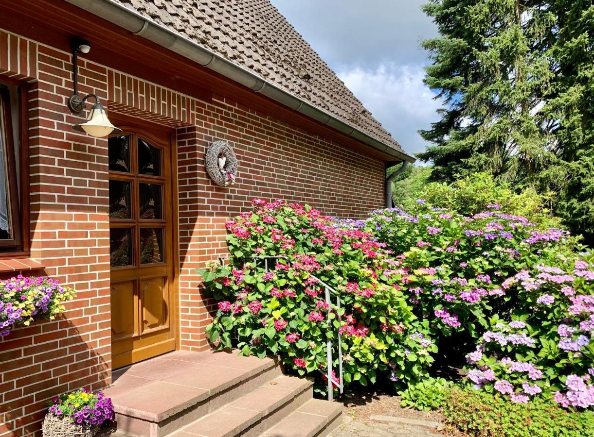 Apartment Hillmer Bispingen Dış mekan fotoğraf