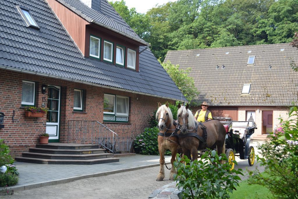 Apartment Hillmer Bispingen Dış mekan fotoğraf